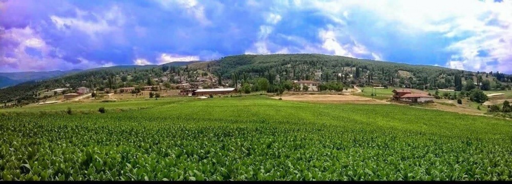 Erbaa Endikpınar Köyü Resimleri 1