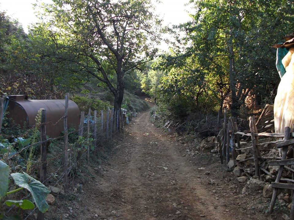 Erbaa Endikpınar Köyü Resimleri 16