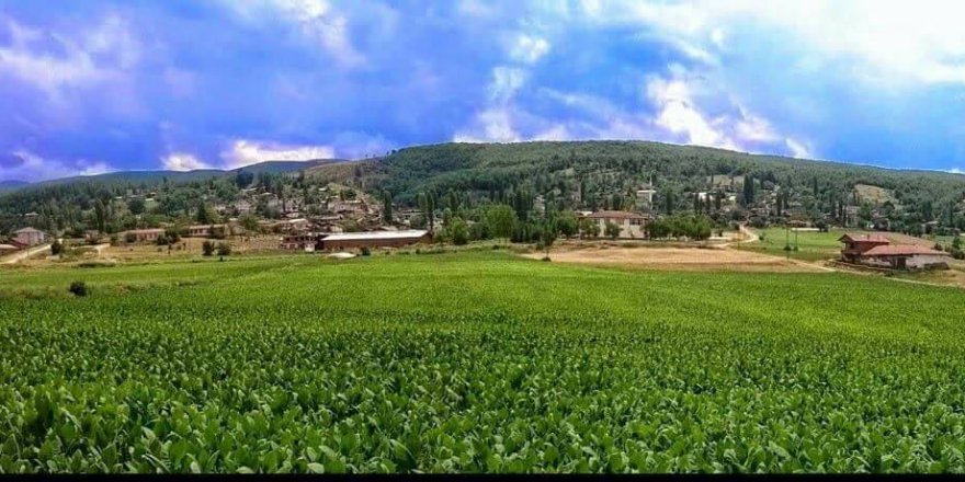 Erbaa Endikpınar Köyü Resimleri