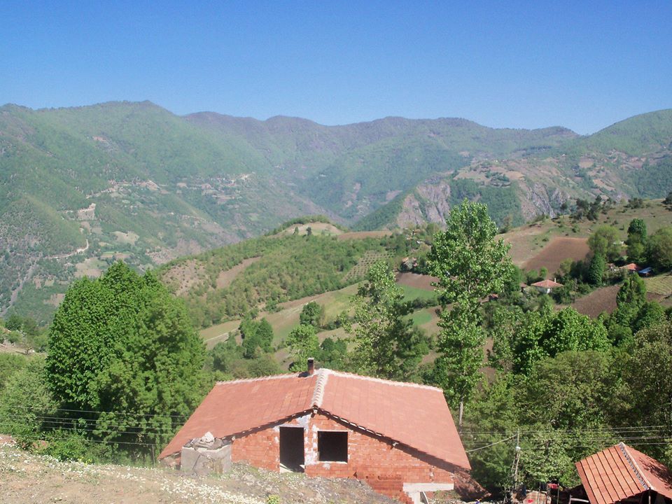 Erbaa Erdemli Köyü Resimleri 5