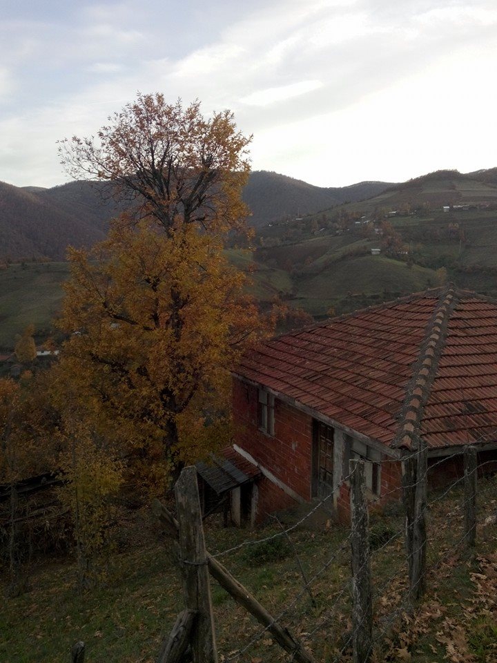 Erbaa Erdemli Köyü Resimleri 6