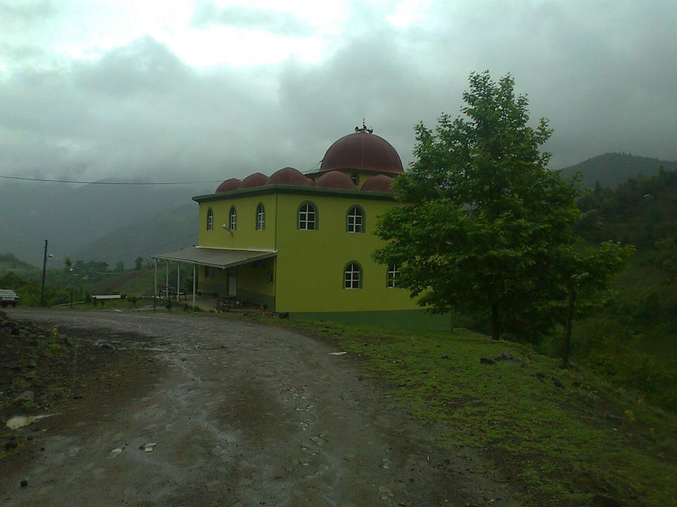 Erbaa Erdemli Köyü Resimleri 8