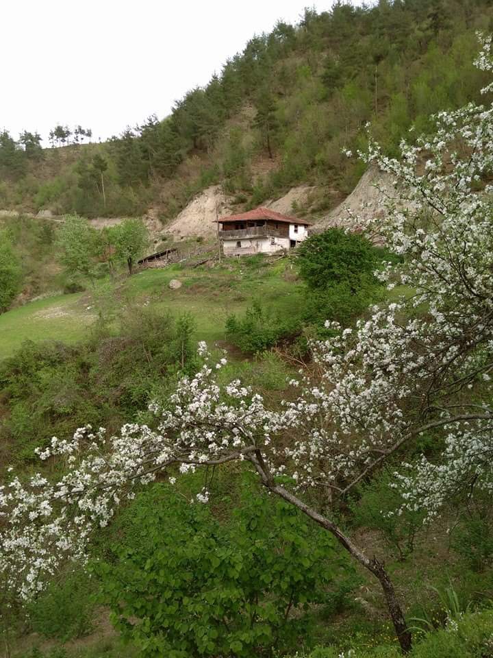 Erbaa Erdemli Köyü Resimleri 9