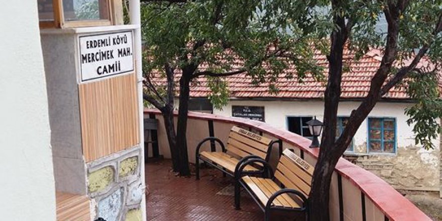 Erbaa Erdemli Köyü Resimleri