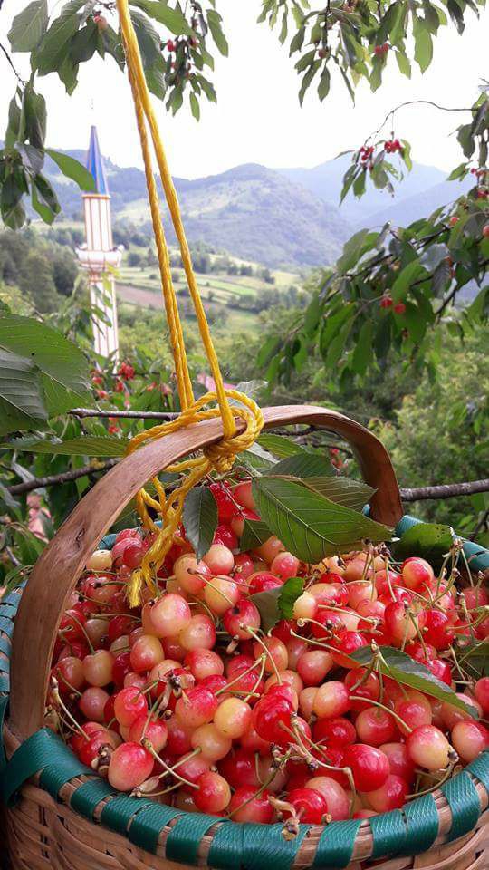 Erbaa Ermeydanı Köyü Resimleri 1