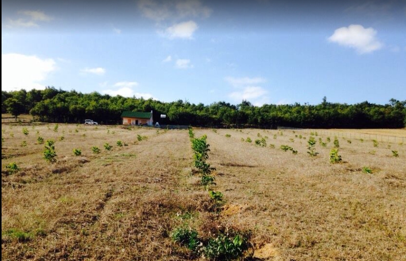 Erbaa Ezebağı Köyü Resimleri 11