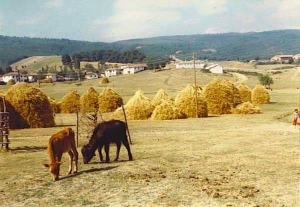 Erbaa Ezebağı Köyü Resimleri 2