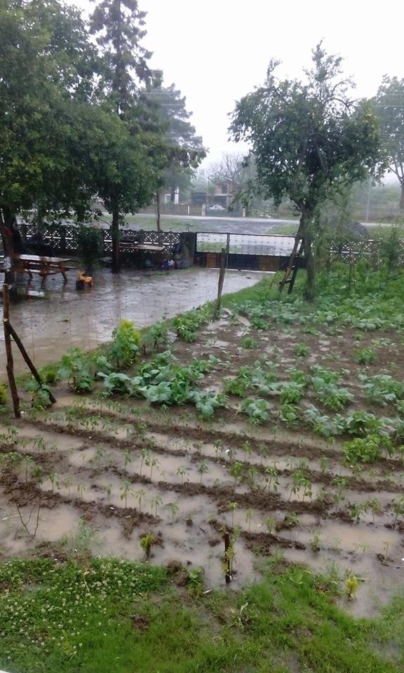 Terme Karacaköy Köyü Resimleri 4