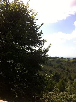 Terme Karacalı Köyü Resimleri 2