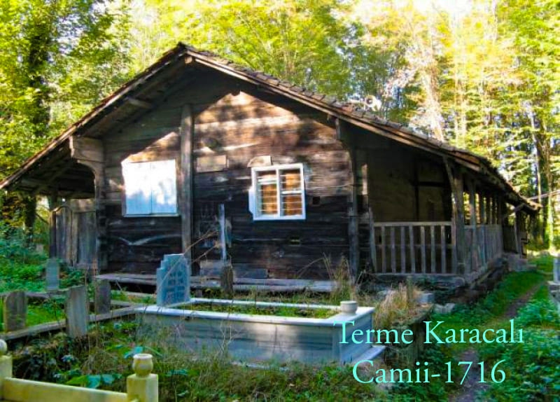 Terme Karacalı Köyü Resimleri 6