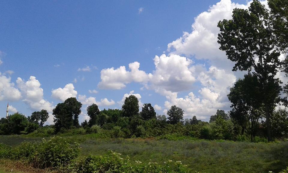 Terme Karacalı Köyü Resimleri 7