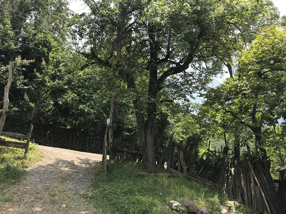 Terme Kesikkaya Köyü Resimleri 10