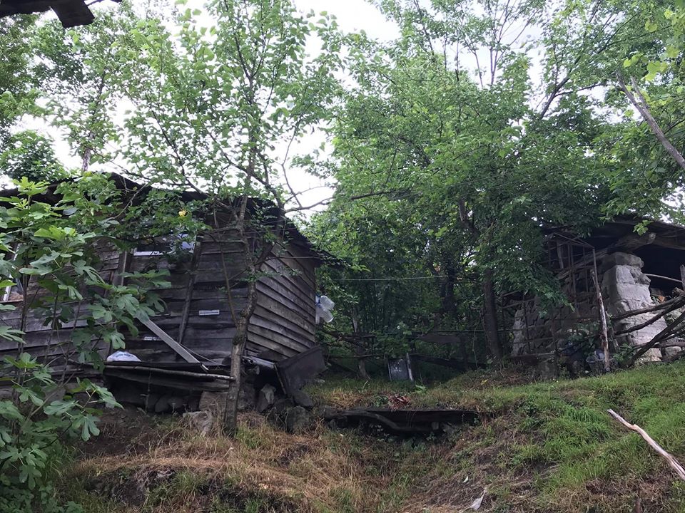 Terme Kesikkaya Köyü Resimleri 11