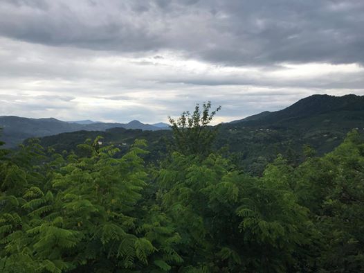 Terme Kesikkaya Köyü Resimleri 3