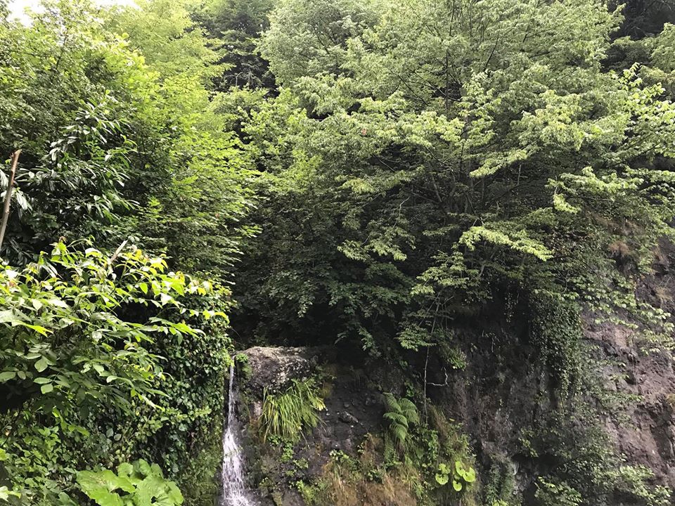 Terme Kesikkaya Köyü Resimleri 4