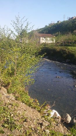 Terme Kocaman Köyü Resimleri 2