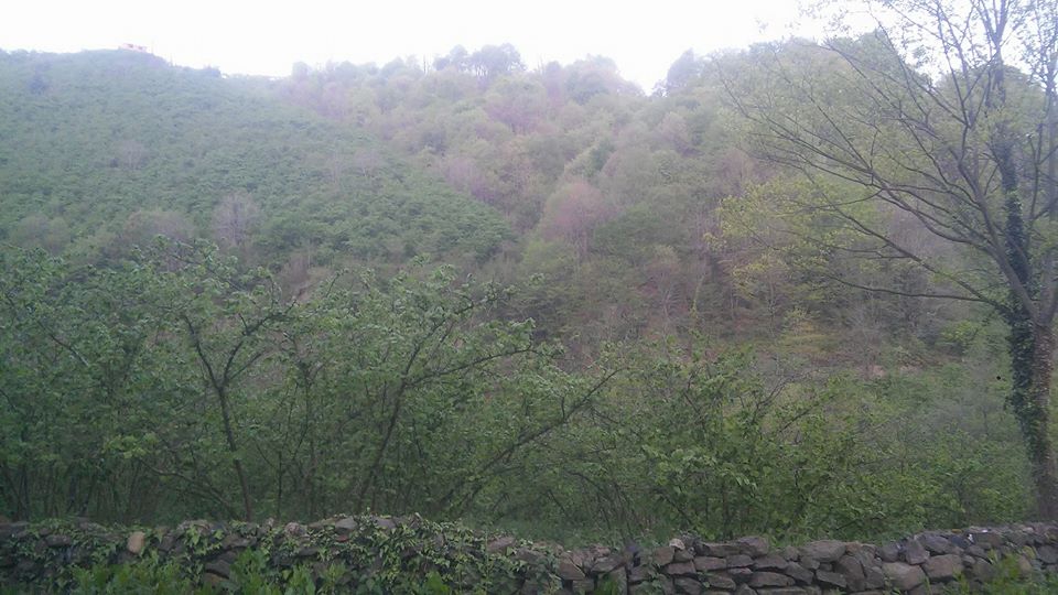 Terme Kocaman Köyü Resimleri 7