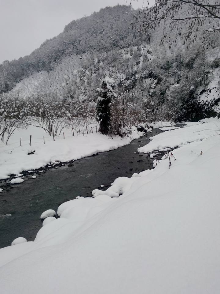 Terme Kocaman Köyü Resimleri 9