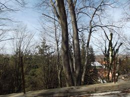 Terme Mescitli Köyü Resimleri 10