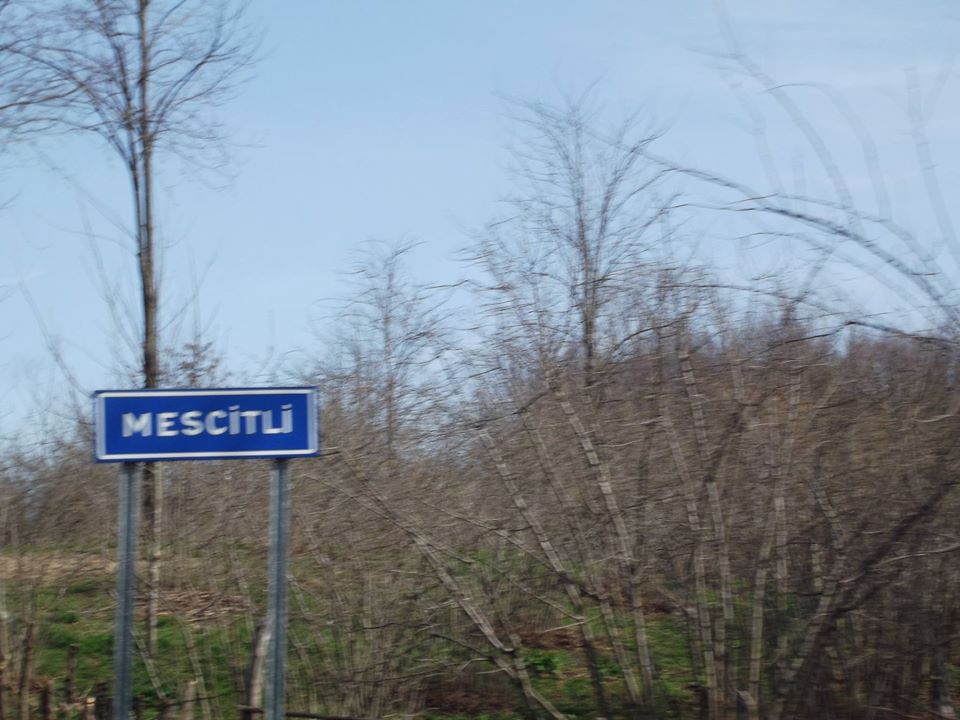 Terme Mescitli Köyü Resimleri 6