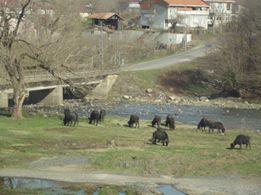 Terme Mescitli Köyü Resimleri 8