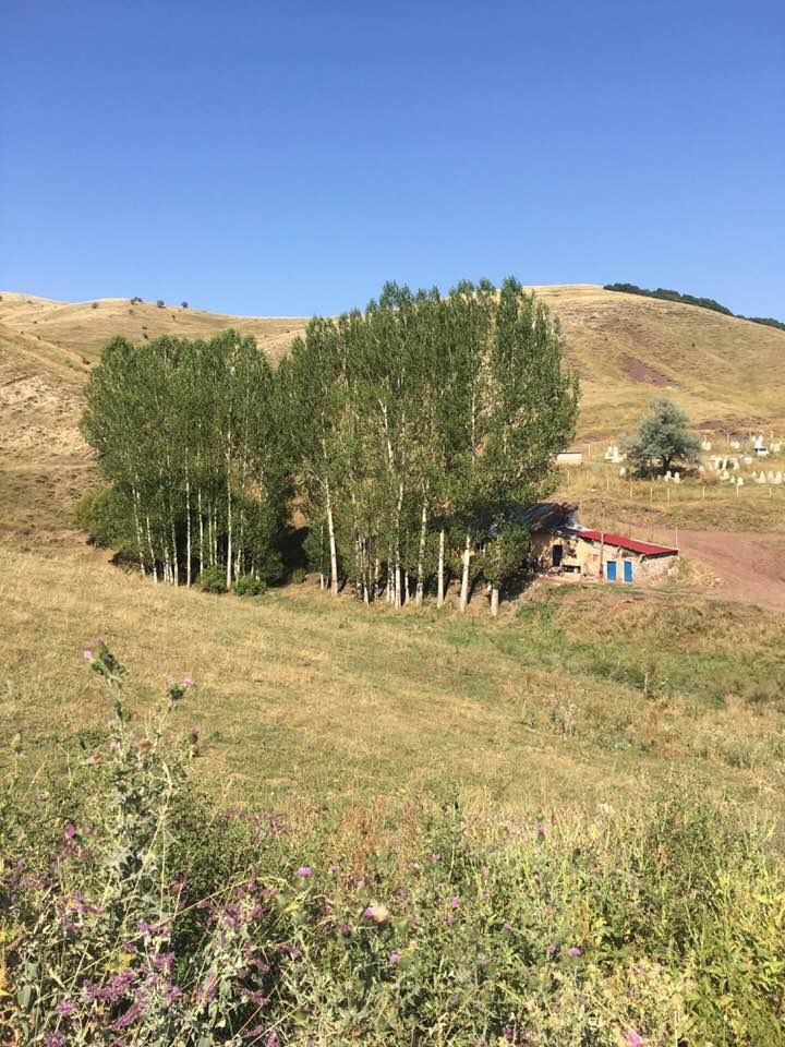 Aşkale Hacıhamza Köyü Resimleri 4