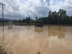 Terme Sakarlı Köyü Resimleri 1