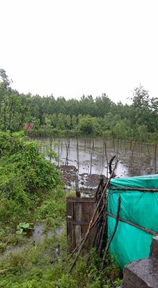 Terme Sivaslılar Köyü Resimleri 1