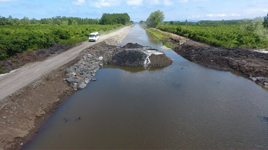 Terme Sivaslılar Köyü Resimleri 8