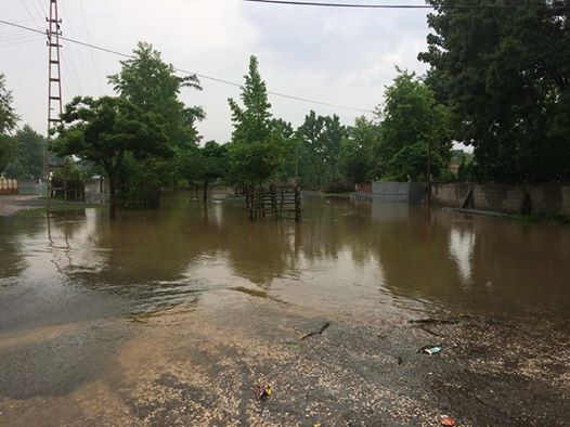 Terme Sütözü Köyü Resimleri 4