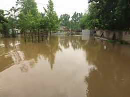 Terme Sütözü Köyü Resimleri 5