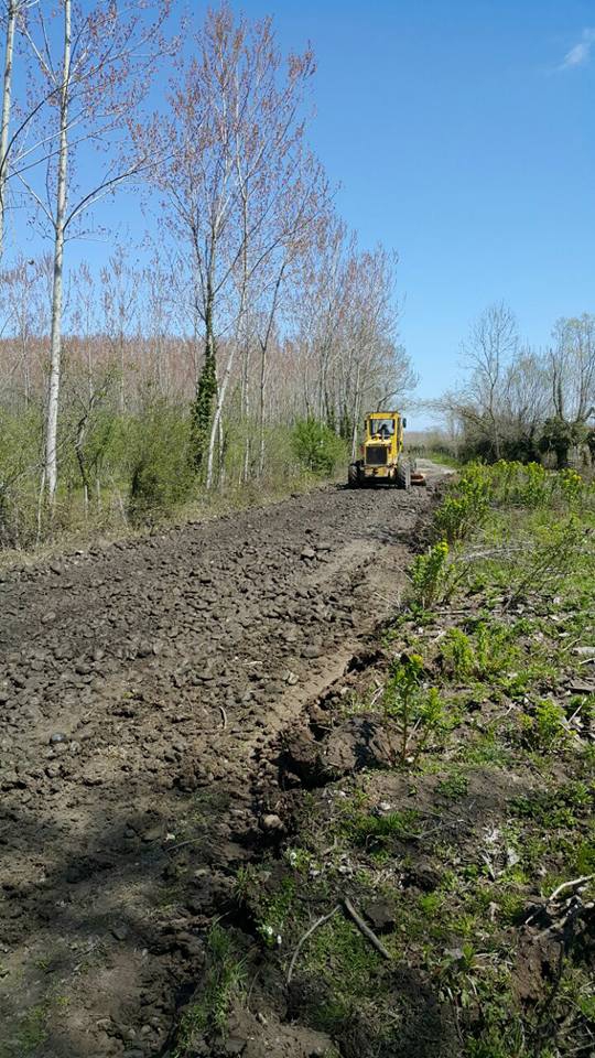 Terme Sütözü Köyü Resimleri 7