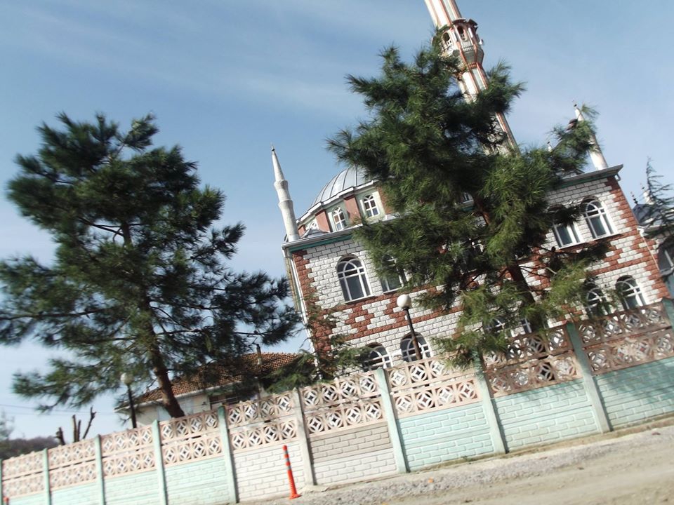 Terme Şeyhli Köyü Resimleri 8