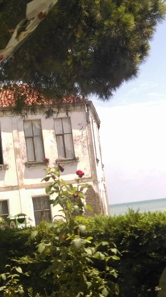 Terme Taşpınar Köyü Resimleri 2