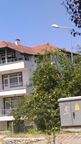 Terme Taşpınar Köyü Resimleri 5