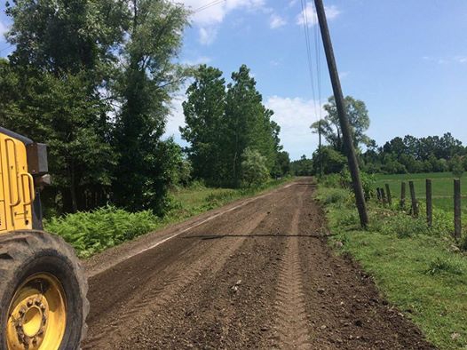 Terme Uzungazi Köyü Resimleri 3