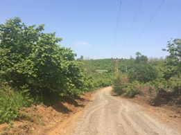 Terme Yüksekyayla Köyü Resimleri 6