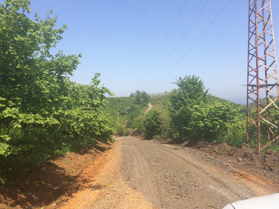 Terme Yüksekyayla Köyü Resimleri 7