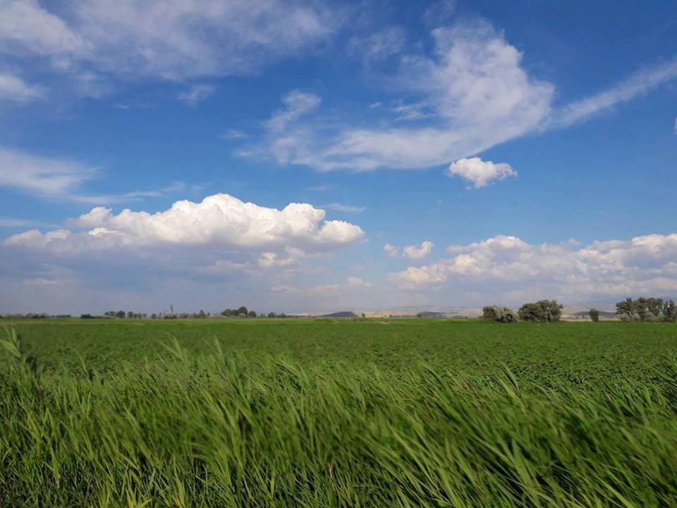 Ereğli Akhüyük Köyü Resimleri 4