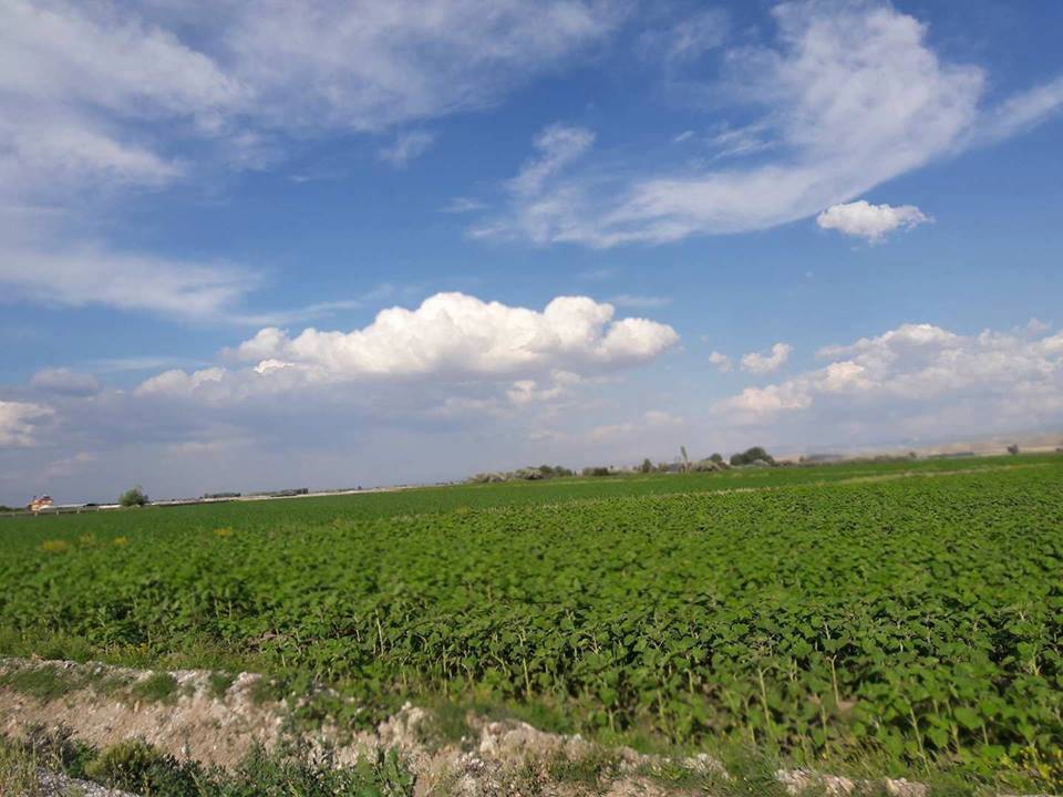 Ereğli Akhüyük Köyü Resimleri 7