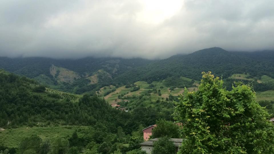 Ereğli Alparslan Köyü Resimleri 9