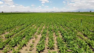 Ereğli Aşağıgöndelen Köyü Resimleri 2