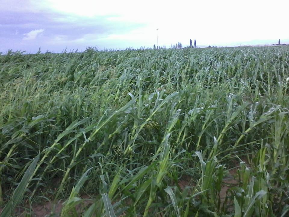 Ereğli Aşağıgöndelen Köyü Resimleri 3