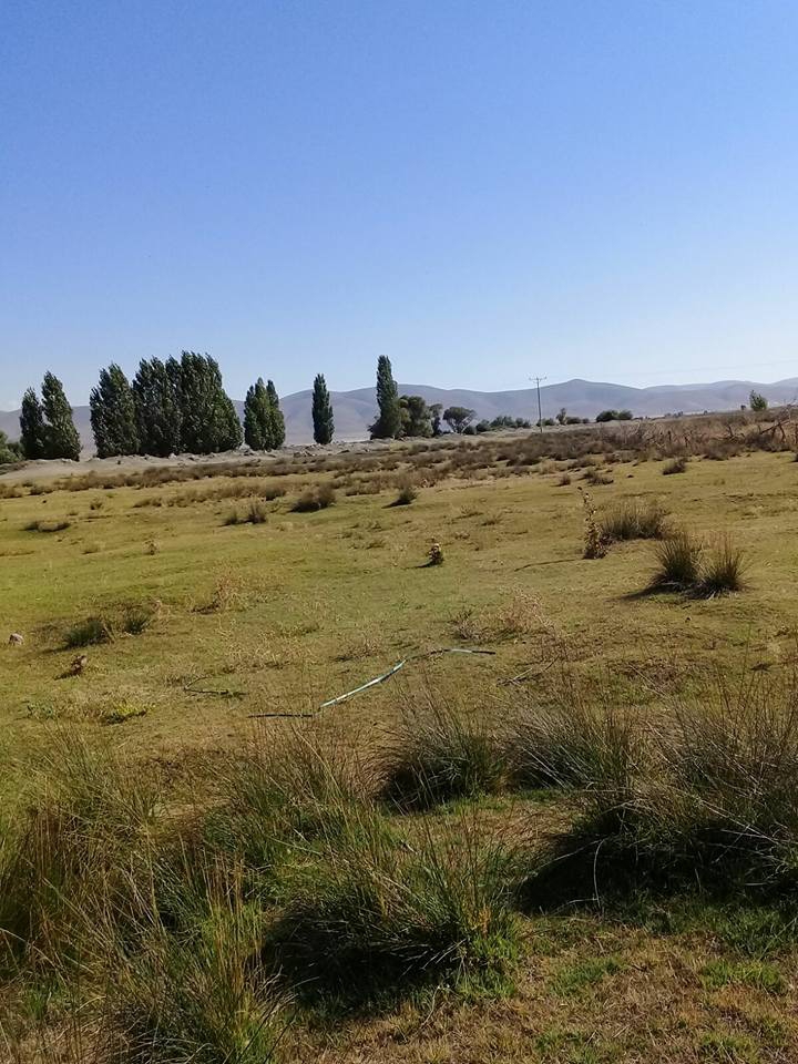 Ereğli Aşıklar Köyü Resimleri 8