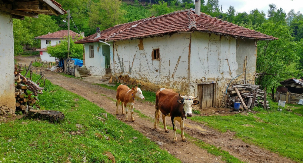 Erbaa Madenli Köyü Resimleri 11