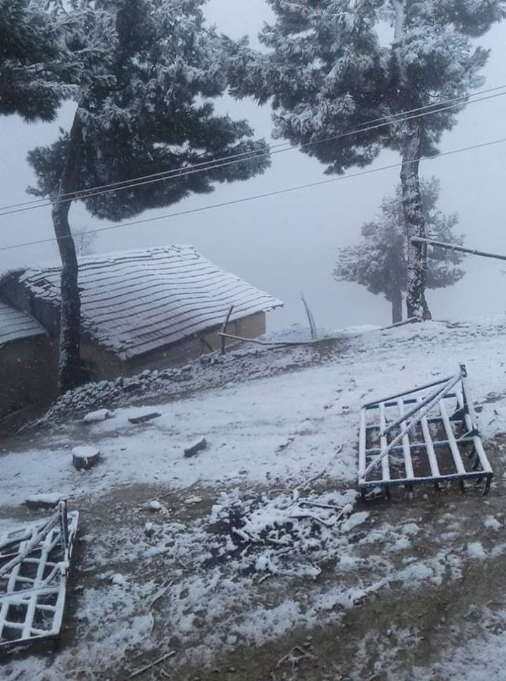 Erbaa Narlıdere Köyü Resimleri 10