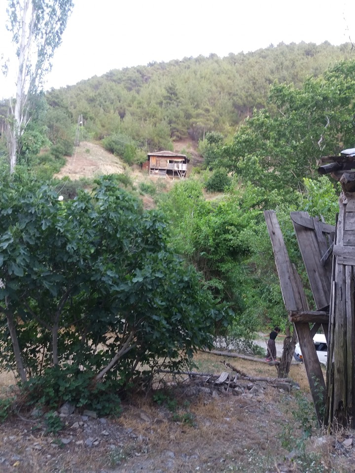 Erbaa Narlıdere Köyü Resimleri 11