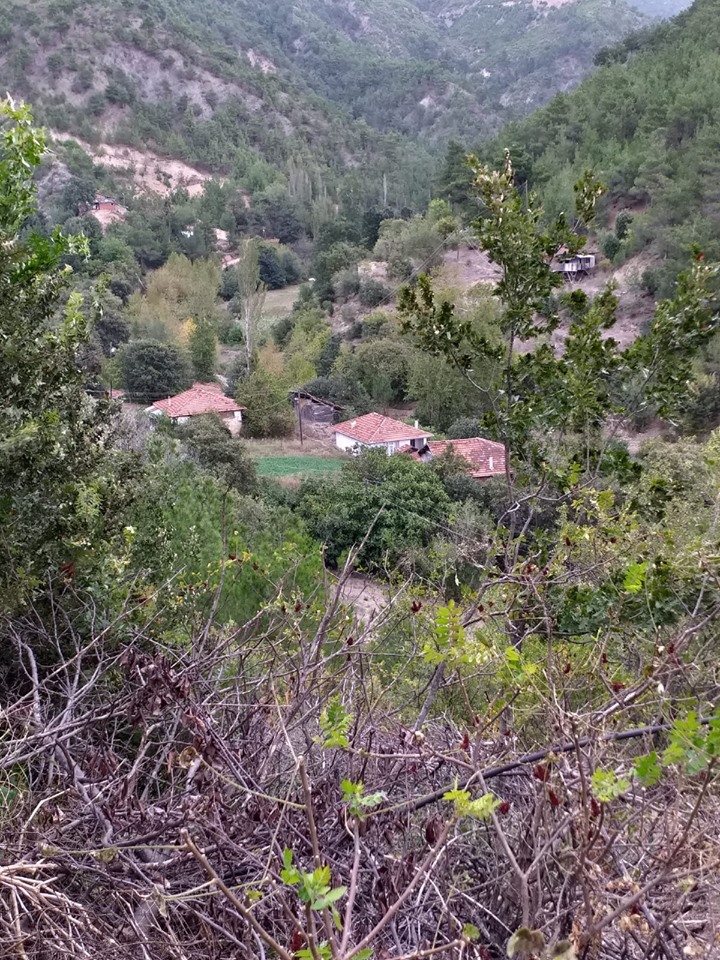 Erbaa Narlıdere Köyü Resimleri 8