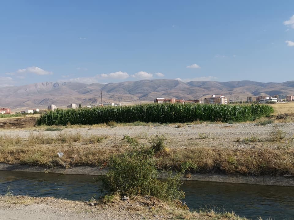 Ereğli Atakent Köyü Resimleri 4