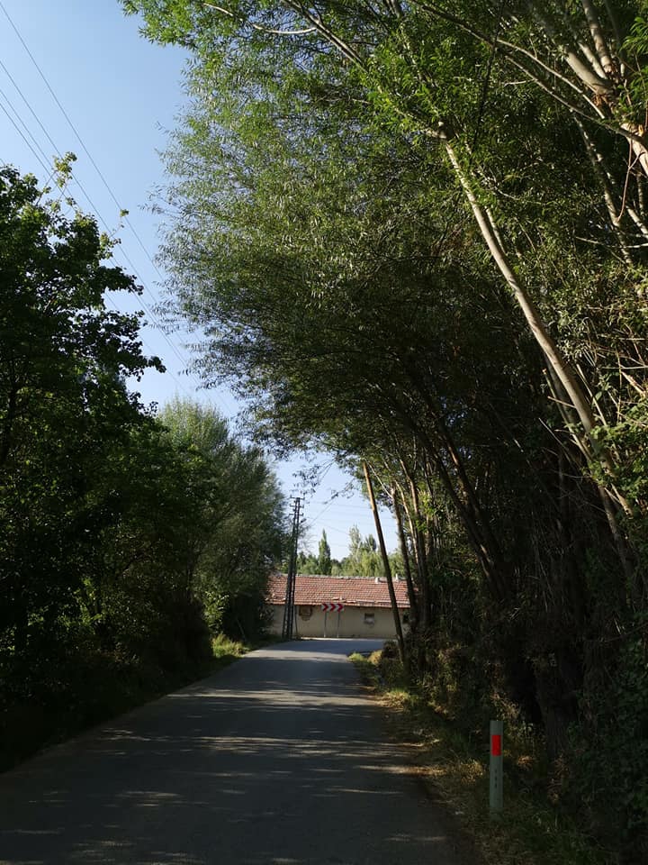 Ereğli Atakent Köyü Resimleri 7